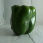poivron bio- Du Panier &agrave; l'Assiette
