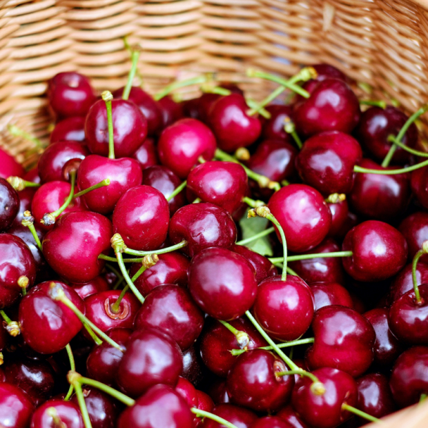 Cerise bio- Du Panier &agrave; l'Assiette