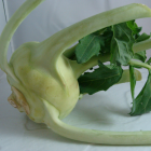 chou rave bio- Du Panier à l'Assiette chou rave bio- Du Panier à l'Assiette