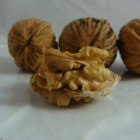 Noix coque bio- Du Panier à l'Assiette