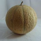 Melon Bio - Du Panier à l'Assiette Melon Bio - Du Panier à l'Assiette