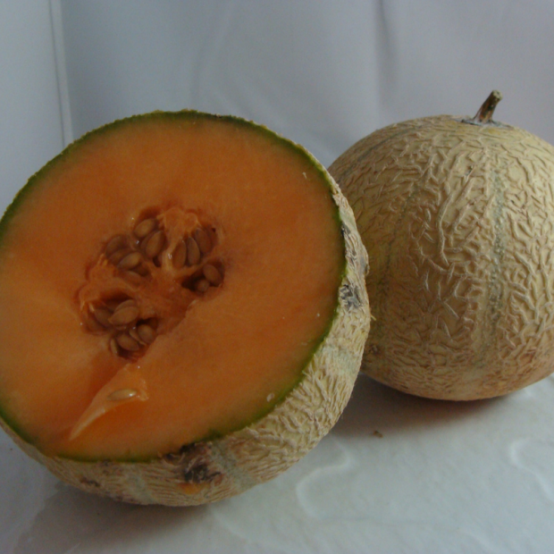 Melon Bio - Du Panier à l'Assiette