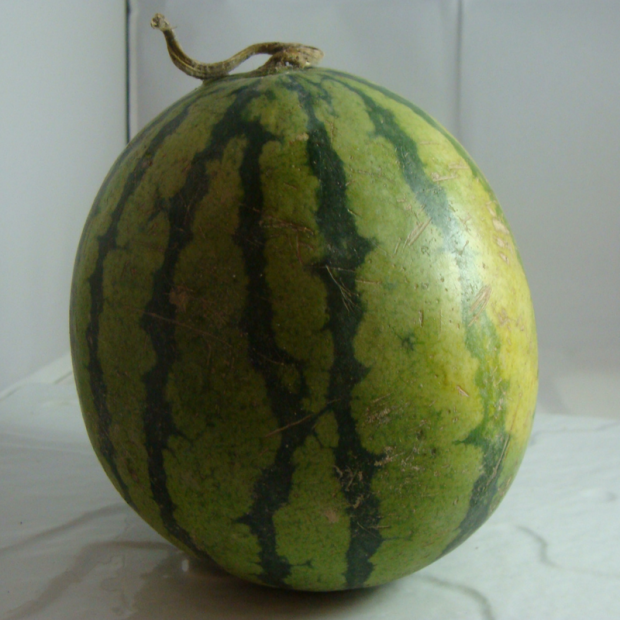 Pastèque Bio - Du Panier à l'Assiette