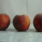 P&ecirc;che Bio - Du Panier &agrave; l'Assiette