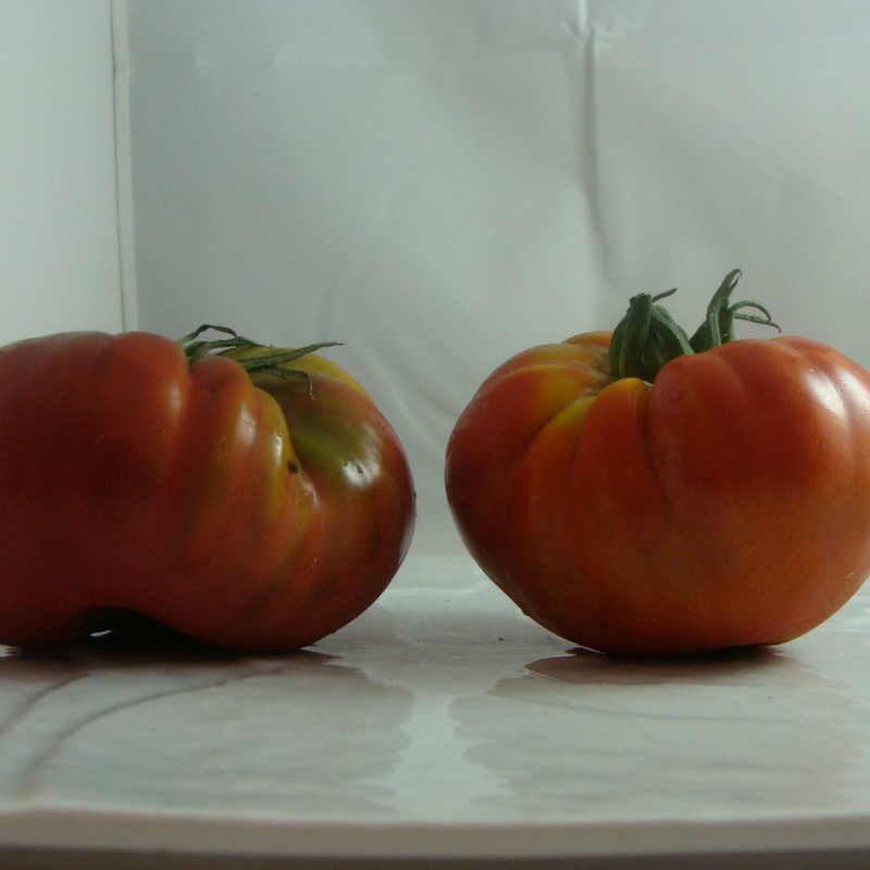 tomate noire bio- Du Panier &agrave; l'Assiette
