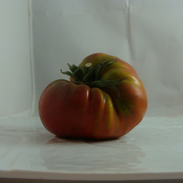 tomate noire bio- Du Panier à l'Assiette