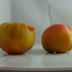 Tomate Côtelée Jaune x 600g