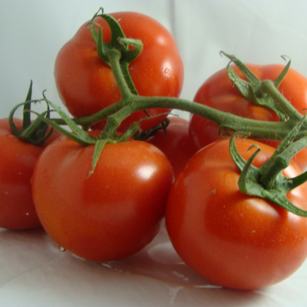 tomate grappe bio- Du Panier à l'Assiette