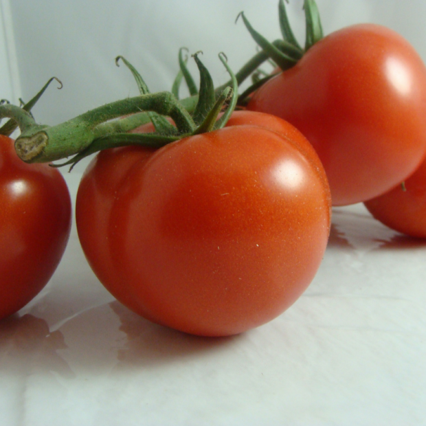 tomate grappe bio- Du Panier &agrave; l'Assiette