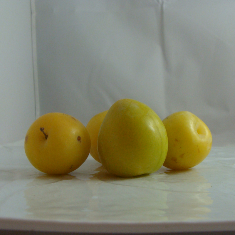 Prune Bio - Du Panier &agrave; l'Assiette