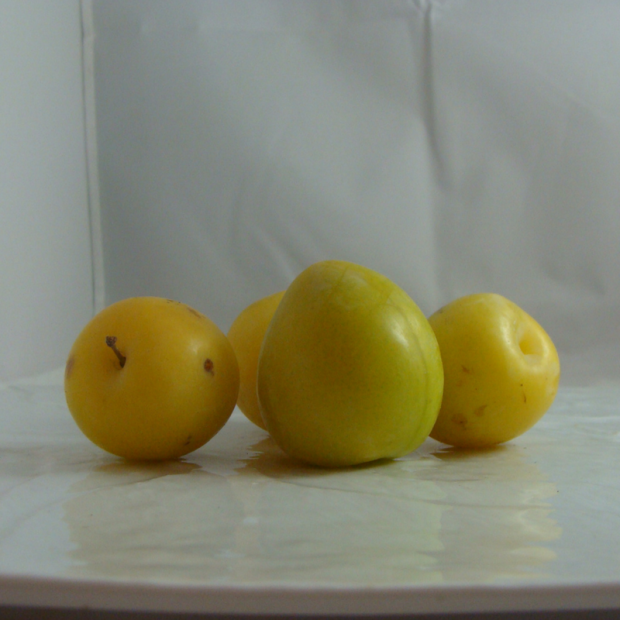 Prune Bio - Du Panier &agrave; l'Assiette