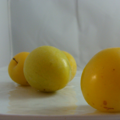 Prune Jaune X 400G *Nouveau*