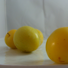 Prune Jaune X 400G *Nouveau*
