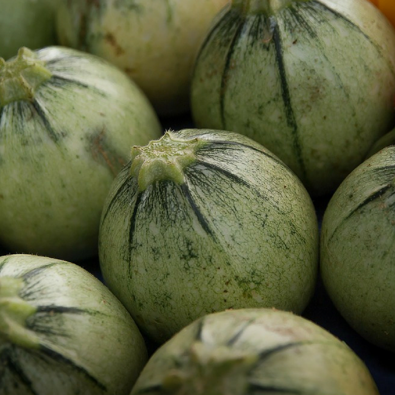 courgette bio- Du Panier &agrave; l'Assiette