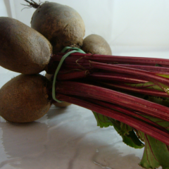 Betterave Botte