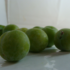 Prune Reine-Claude x 500G *Nouveau*