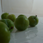 Prune Bio - Du Panier &agrave; l'Assiette