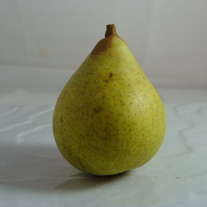 Poire Guyot - Du Panier à l'Assiette Poire Guyot - Du Panier à l'Assiette
