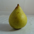 Poire Guyot - Du Panier à l'Assiette Poire Guyot - Du Panier à l'Assiette