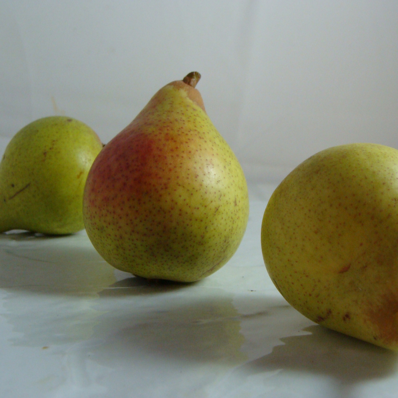 Poire Guyot - Du Panier à l'Assiette Poire Guyot - Du Panier à l'Assiette