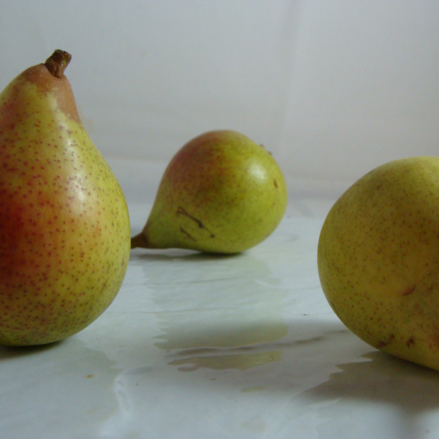 Poire Guyot - Du Panier &agrave; l'Assiette