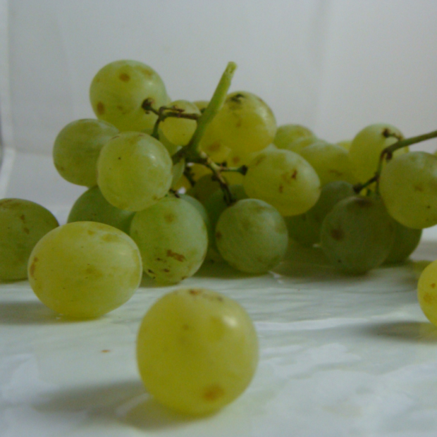 Raisin blanc Ora Bio - Du Panier à l'Assiette