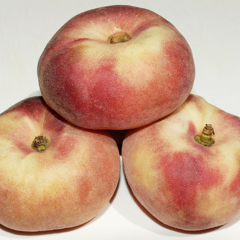 P&ecirc;che Bio - Du Panier &agrave; l'Assiette