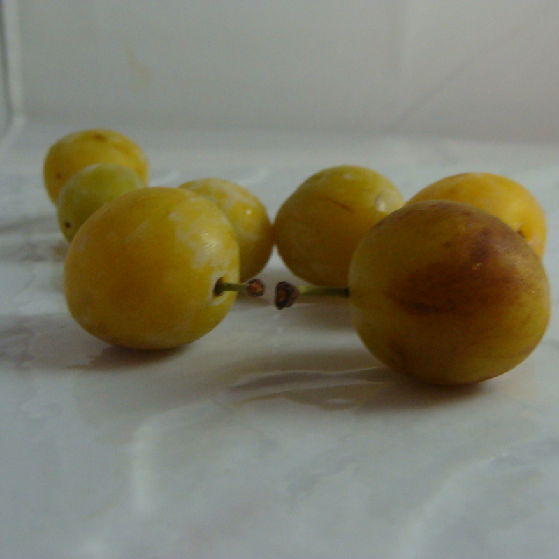 Prune Mirabelle Bio - Du Panier à l'Assiette