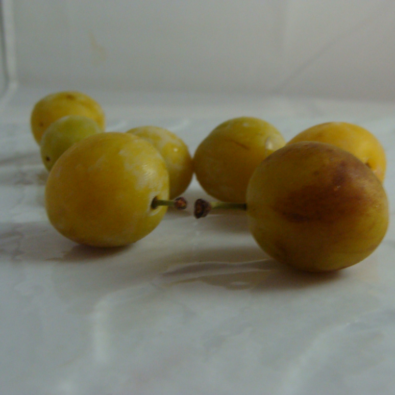 Prune Mirabelle Bio - Du Panier à l'Assiette