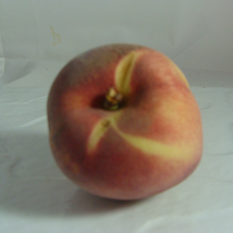 P&ecirc;che Bio - Du Panier &agrave; l'Assiette
