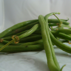 Haricot Vert Frais x 500g *Nouveau*