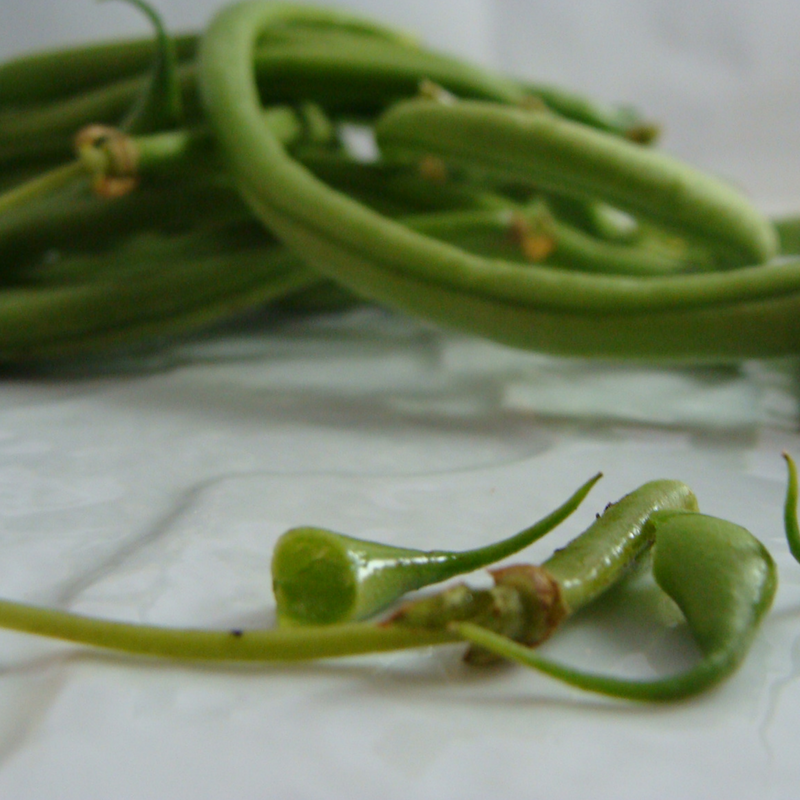 haricot vert bio- Du Panier &agrave; l'Assiette