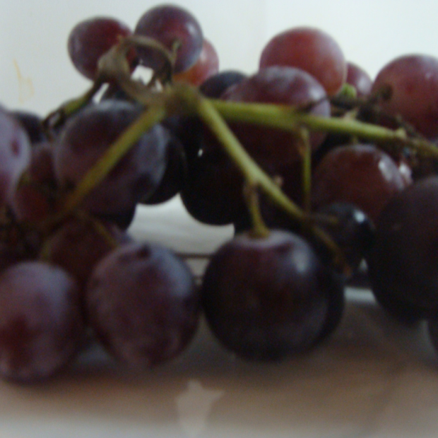 Raisin Muscat de Hambourg Bio - Du Panier à l'Assiette