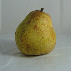 Poire Comice x 500g