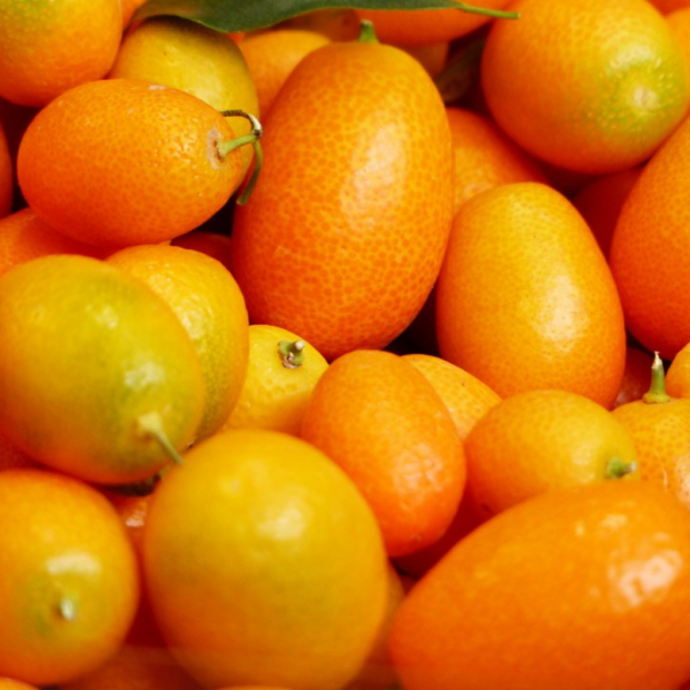 Kumquat Bio - Du Panier à l'Assiette