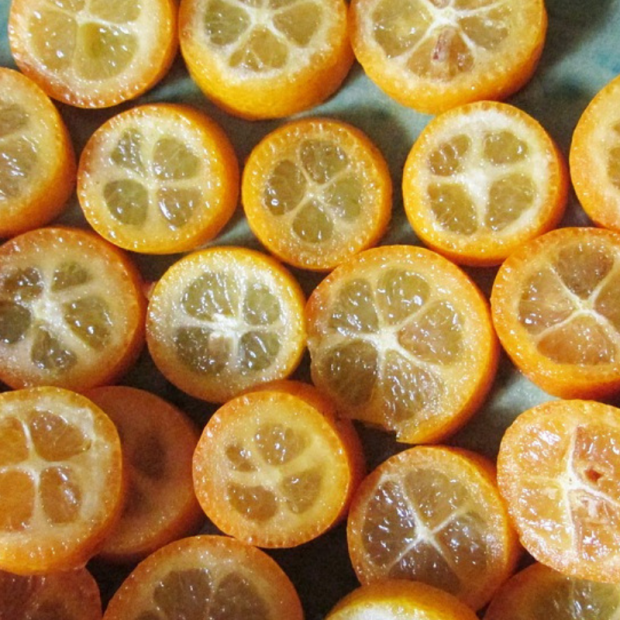 Kumquat Bio - Du Panier à l'Assiette