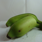 Banane Bio - Du Panier à l'Assiette