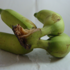 Banane Bio - Du Panier à l'Assiette Banane Bio - Du Panier à l'Assiette