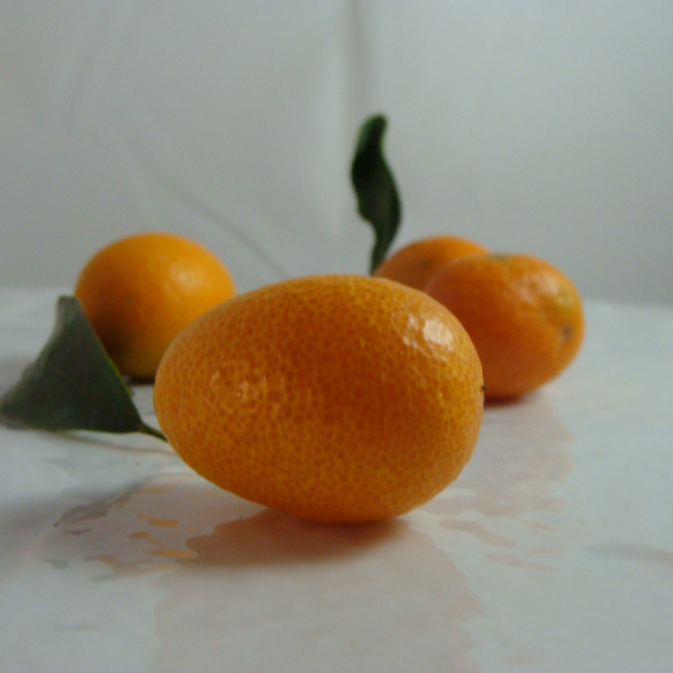 Kumquat Bio - Du Panier à l'Assiette