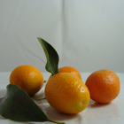 Kumquat Bio - Du Panier à l'Assiette