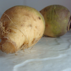 Rutabaga x 500g