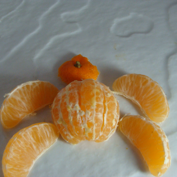 Clémentine Bio - Du Panier à l'Assiette