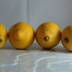 Lot de 4 citrons + 1 gratuit