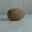 Pomme de terre bio- Du Panier &agrave; l'Assiette