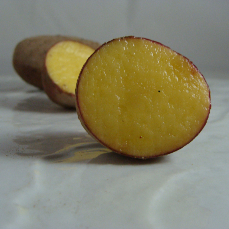Pomme de terre bio- Du Panier &agrave; l'Assiette