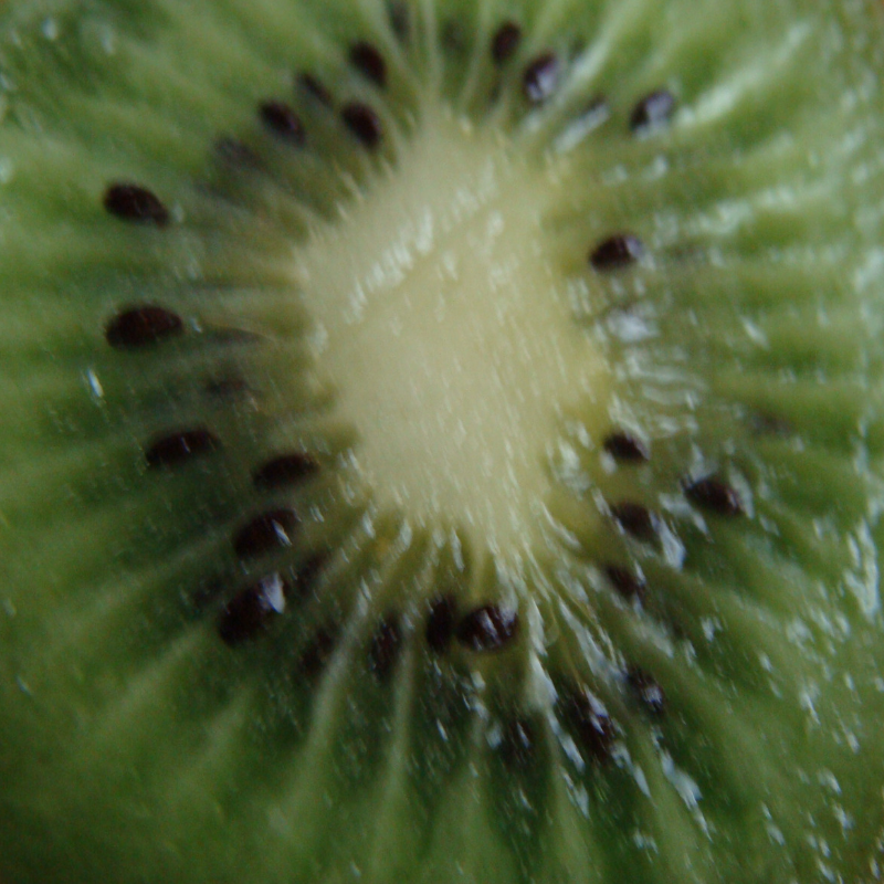 Kiwi Bio - Du Panier à l'Assiette