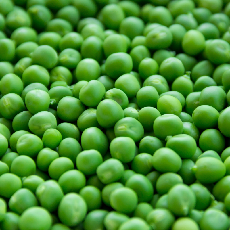 petit pois bio- Du Panier à l'Assiette petit pois bio- Du Panier à l'Assiette