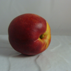 Nectarine Bio - Du Panier à l'Assiette Nectarine Bio - Du Panier à l'Assiette