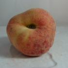 P&ecirc;che Bio - Du Panier &agrave; l'Assiette