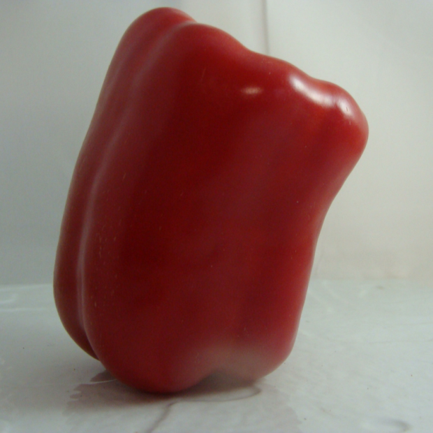 poivron bio- Du Panier &agrave; l'Assiette